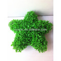 Hochemultion grün dekorativer künstlicher sternförmiger Topfbosai